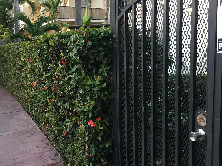 825 Euclid Ave — Photo 11