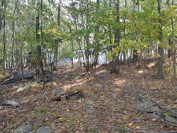 5th image of 3814 Spicewood Ln