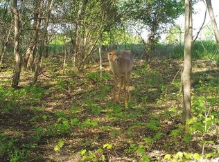 197th St E, Faribault, MN 55021