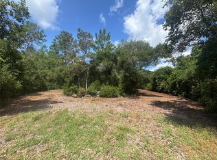 0 N Circle Dr E Lot 96, Paisley, FL 32767