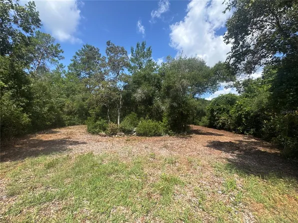 0 N Circle Dr E Lot 96, Paisley, FL 32767