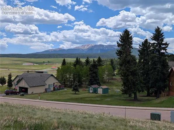 108 Allison Pl, Divide, CO 80814