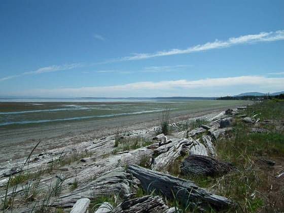 1st image of 142 Jamestown Beach Ln