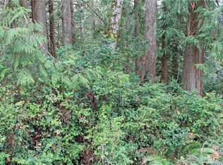 151 E Forest Ln, Belfair, WA 98528