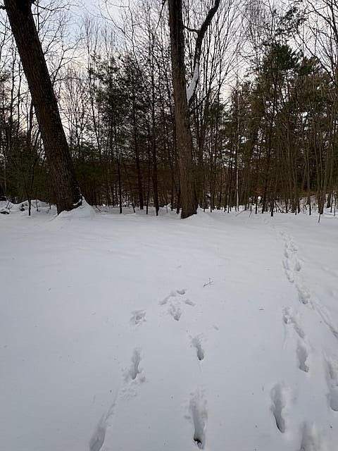 2nd image of Vl Bayou Rd