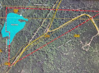 McNeil Rd, Avinger, TX 75630