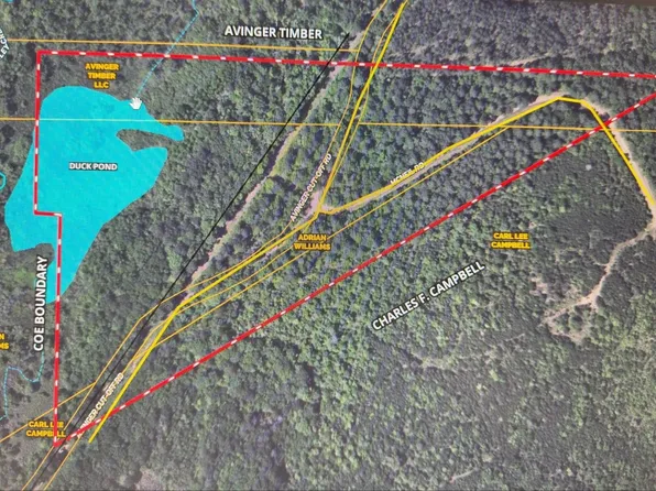 McNeil Rd, Avinger, TX 75630