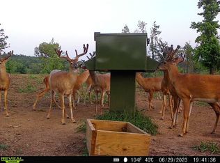 0 Burger Curb Rd, Marion, AL 36756