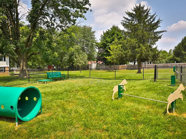 Dog Park