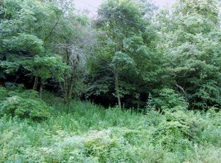 105 White Pine Ln, Banner Elk, NC 28604