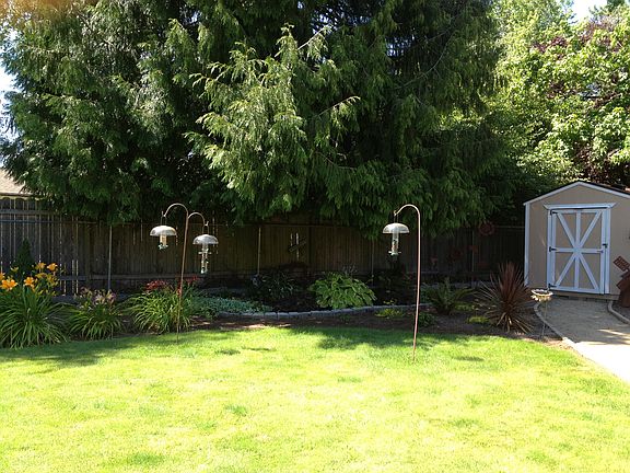 Back yard in mid summer