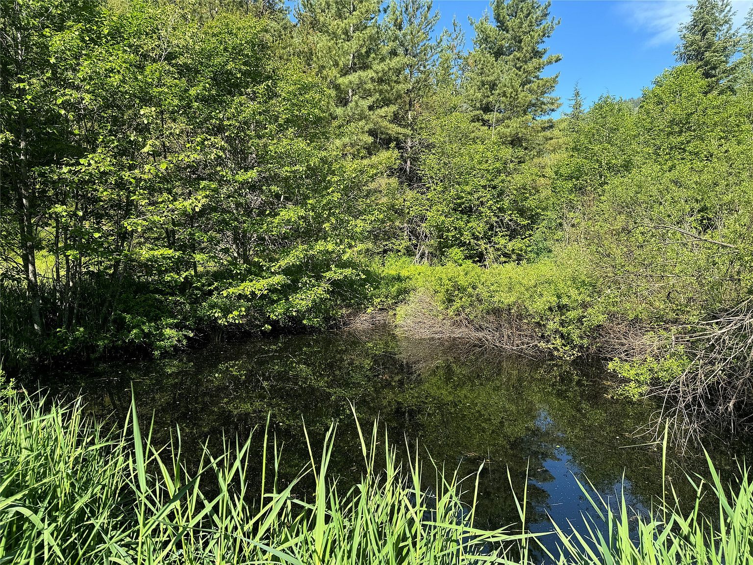 Nhn S Sanctuary Loop, Heron, MT 59844 MLS 30028208 Zillow