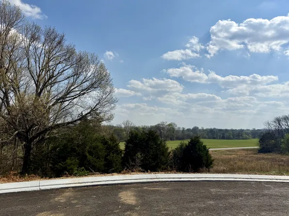 527 Divine Ct, Arrington, TN 37014