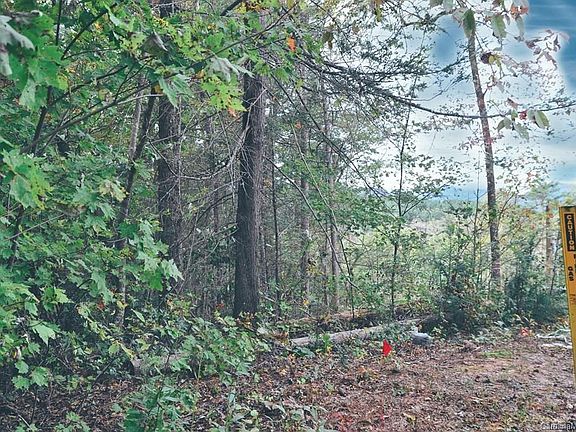 4th image of Pleasant Woods Dr #25