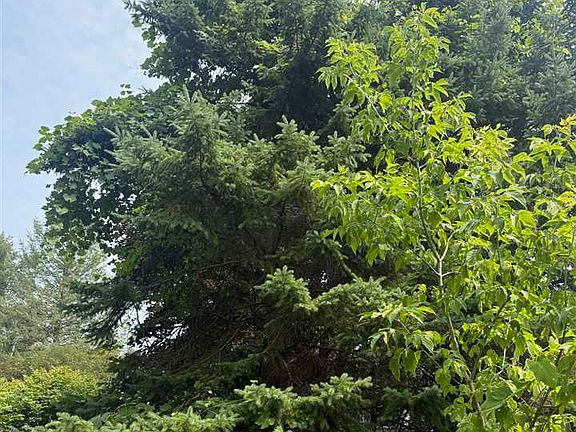 5th image of Groveland St