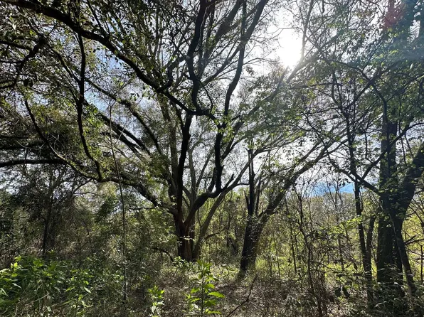 Tbd 178th St, McAlpin, FL 32062