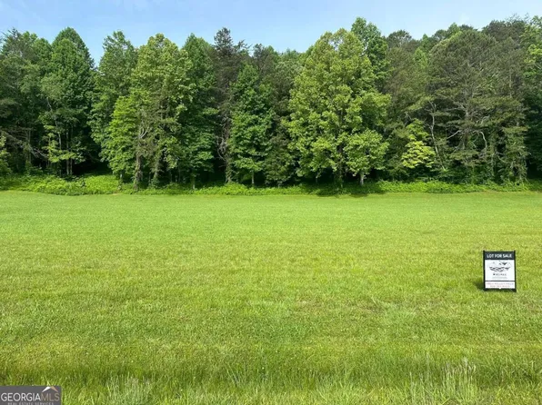 LOT 46 Prosperity Dr, Warne, NC 28909