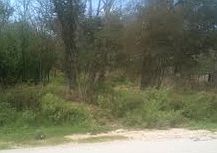 1st image of 5604 Melody Ln