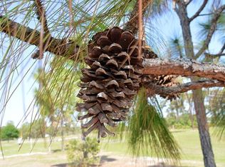 7621 261st St E, Myakka City, FL 34251