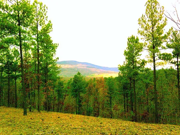 LOT 28 River Park Ln, Mill Spring, NC 28756