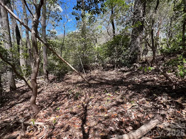 99999 Summer Haven Rd, Swannanoa, NC 28778