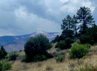 1045 Bear Creek Cir, South Fork, CO 81154