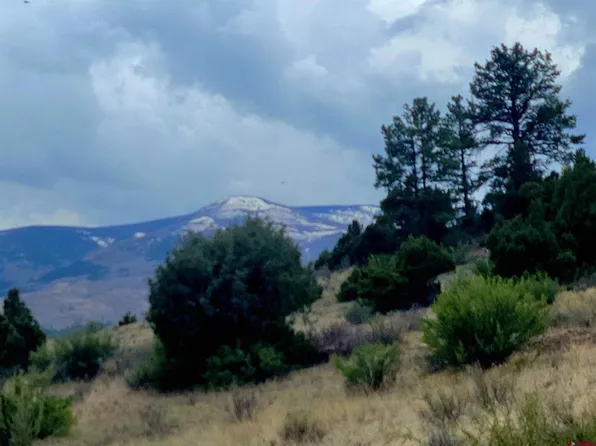 1045 Bear Creek Circle, South Fork, CO 81154