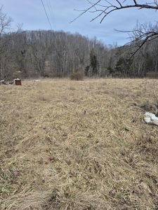 1075 Lithia Rd, Buchanan, VA, 24066