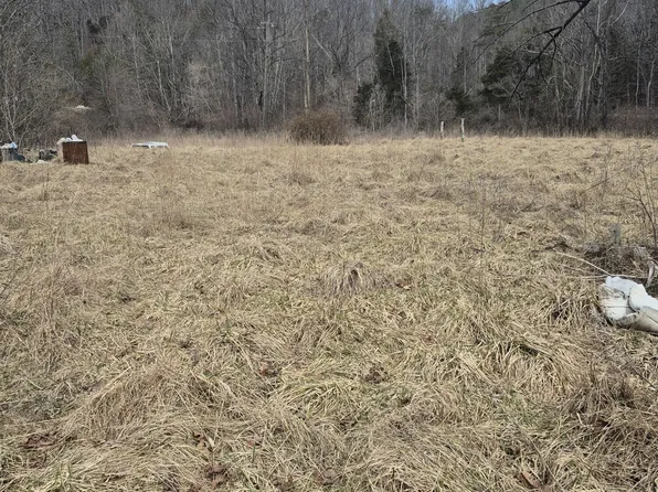 1075 Lithia Rd, Buchanan, VA 24066