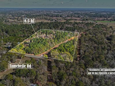 Nhn Tamchelle Rd, Poplarville, MS, 39470
