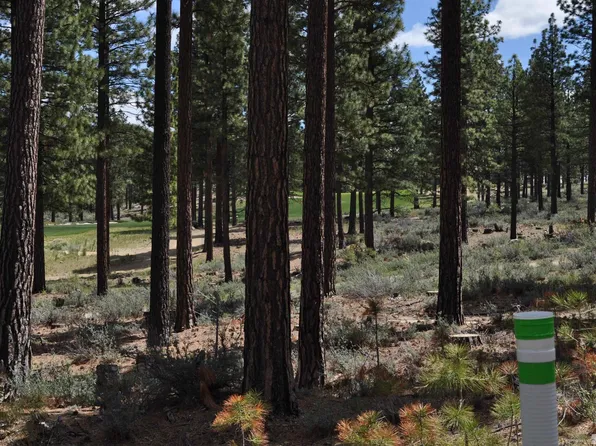 127 Walton Toll Rd, Carson City, NV 89705