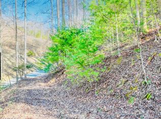 18 Horseshoe Cove Dr, Butler, TN 37640