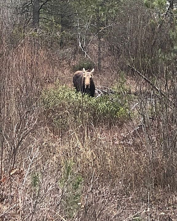 2nd image of 0 E Deer Lake Rd