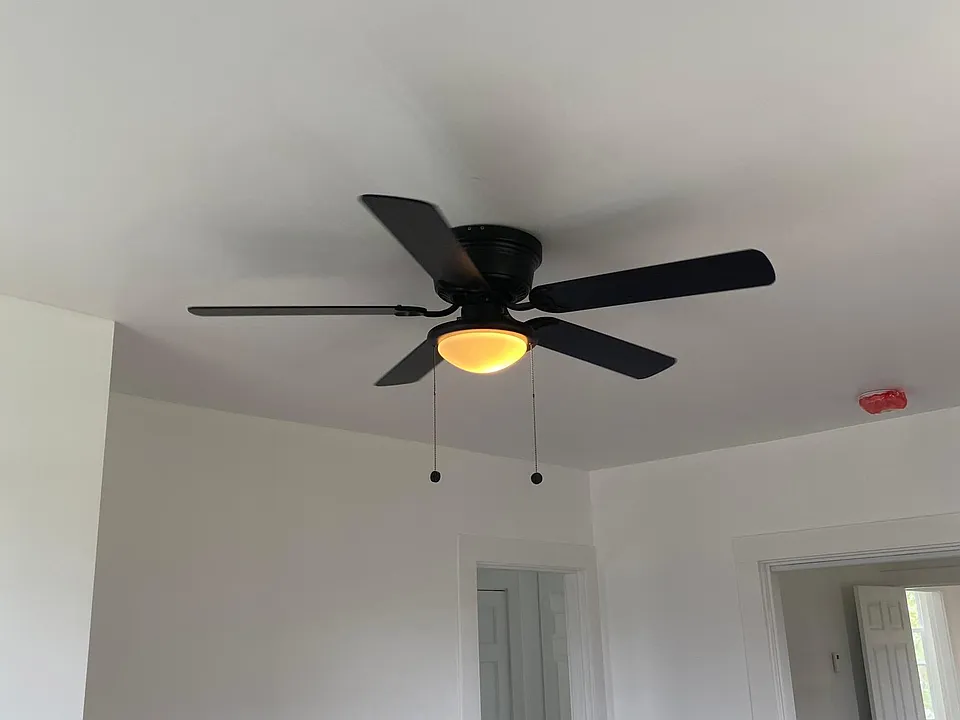 238 Central Ave #2