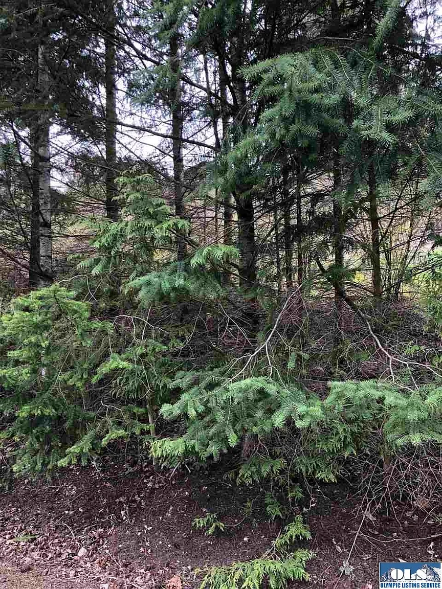 9999 Woodland Dr Lot 24 photo 1