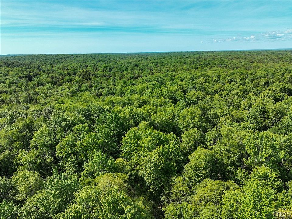 1st image of 2 Tamblin Ridge Trl #17