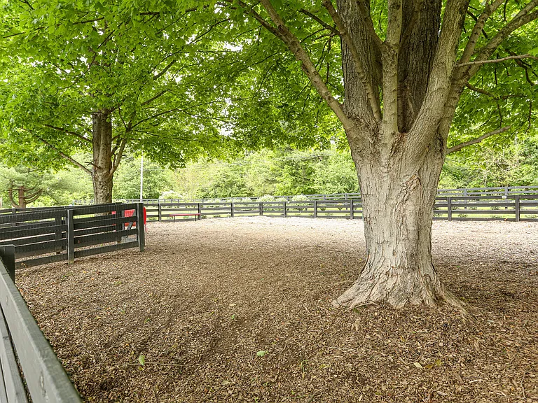 SpringHouse — Photo 41