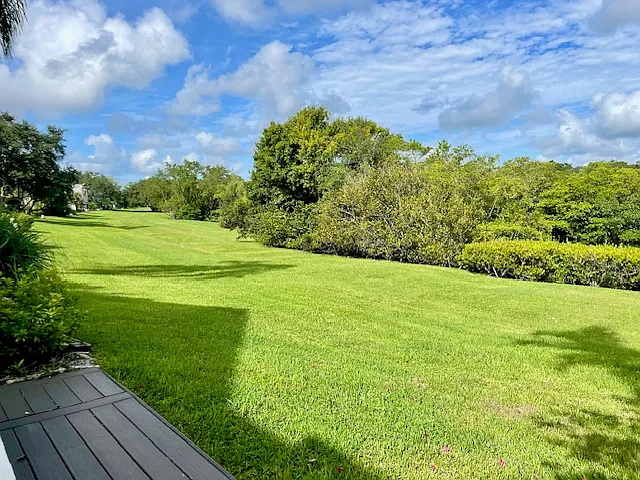 expansive common area behind property