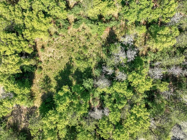 Armstrong Ln, Arcadia, WI 54612