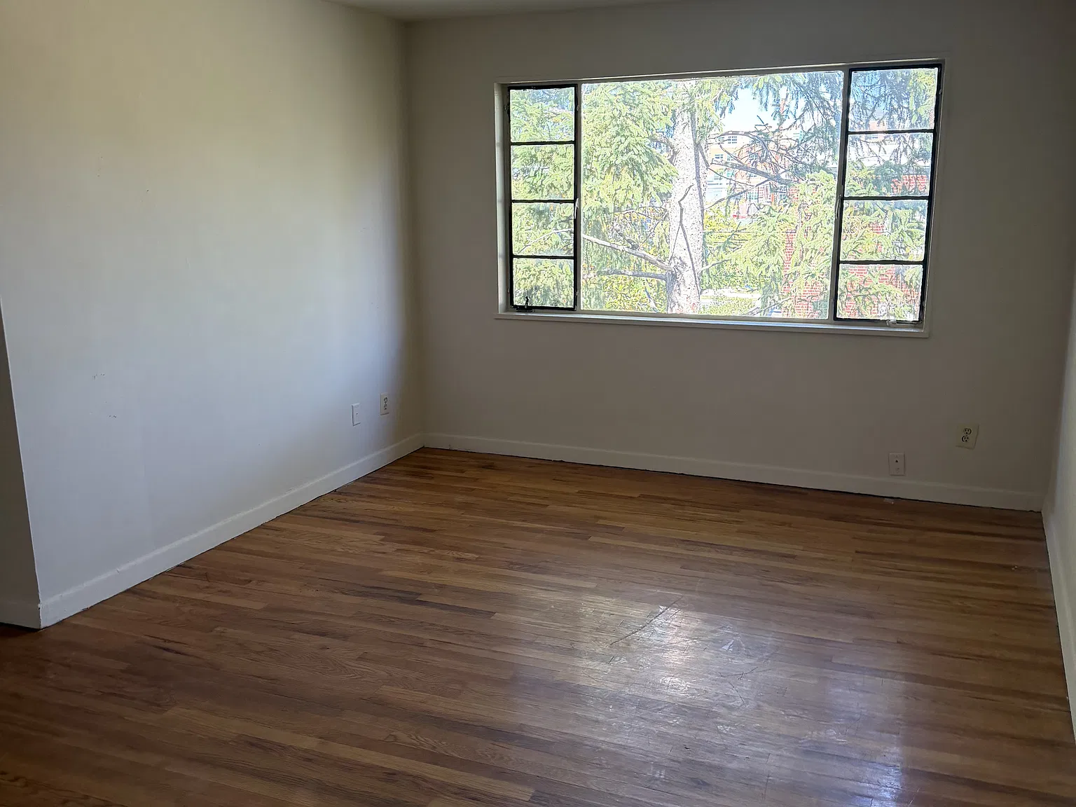 2 bed, 900 sqft, $1,995 — Photo 2
