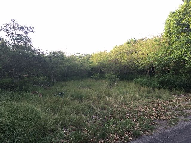 2nd image of 9-G Grange Co