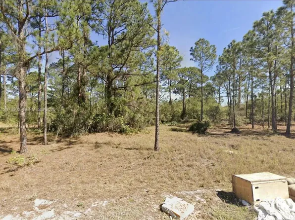 613 Lynn Ct, Lake Placid, FL 33852