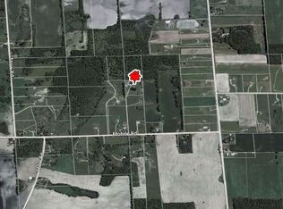 11561 Mohrle Rd, Webberville, MI 48892
