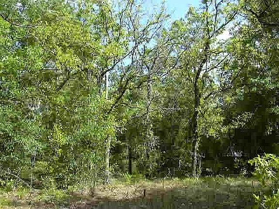 no impacts-well and septic