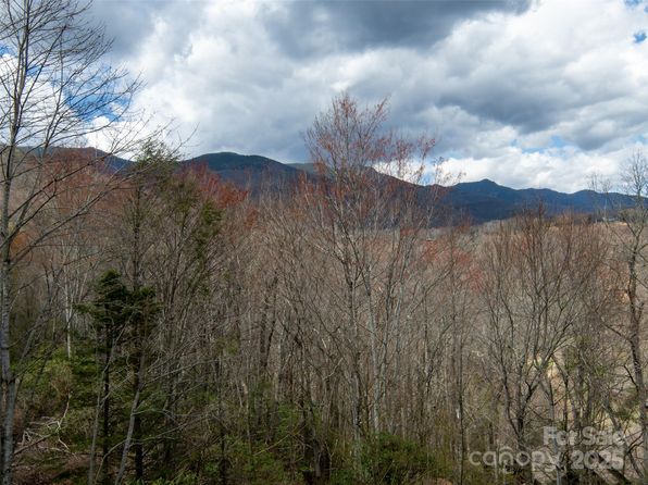 376 Overlook Dr #1, Burnsville, NC 28714