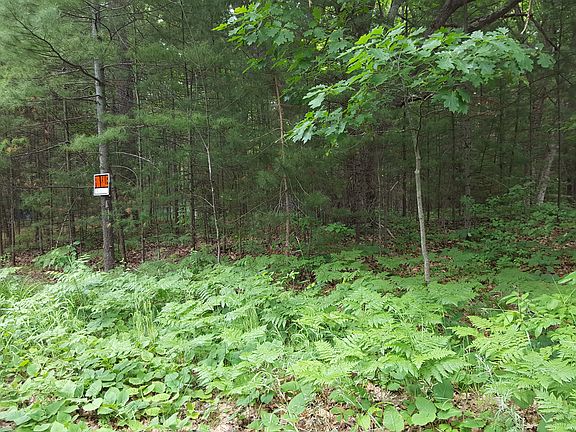 2nd image of 0 Cedar Lake Rd