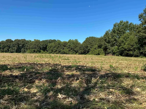 545 Shady Grove Rd, Andalusia, AL 36421