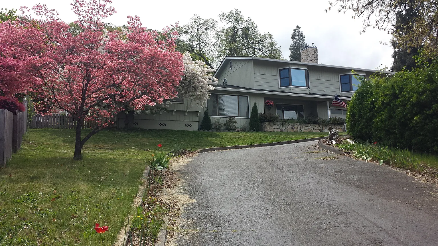 427 S Wexford Cir photo 1