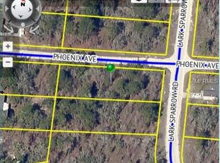 11461 Lark Sparrow Rd, Weeki Wachee, FL 34614