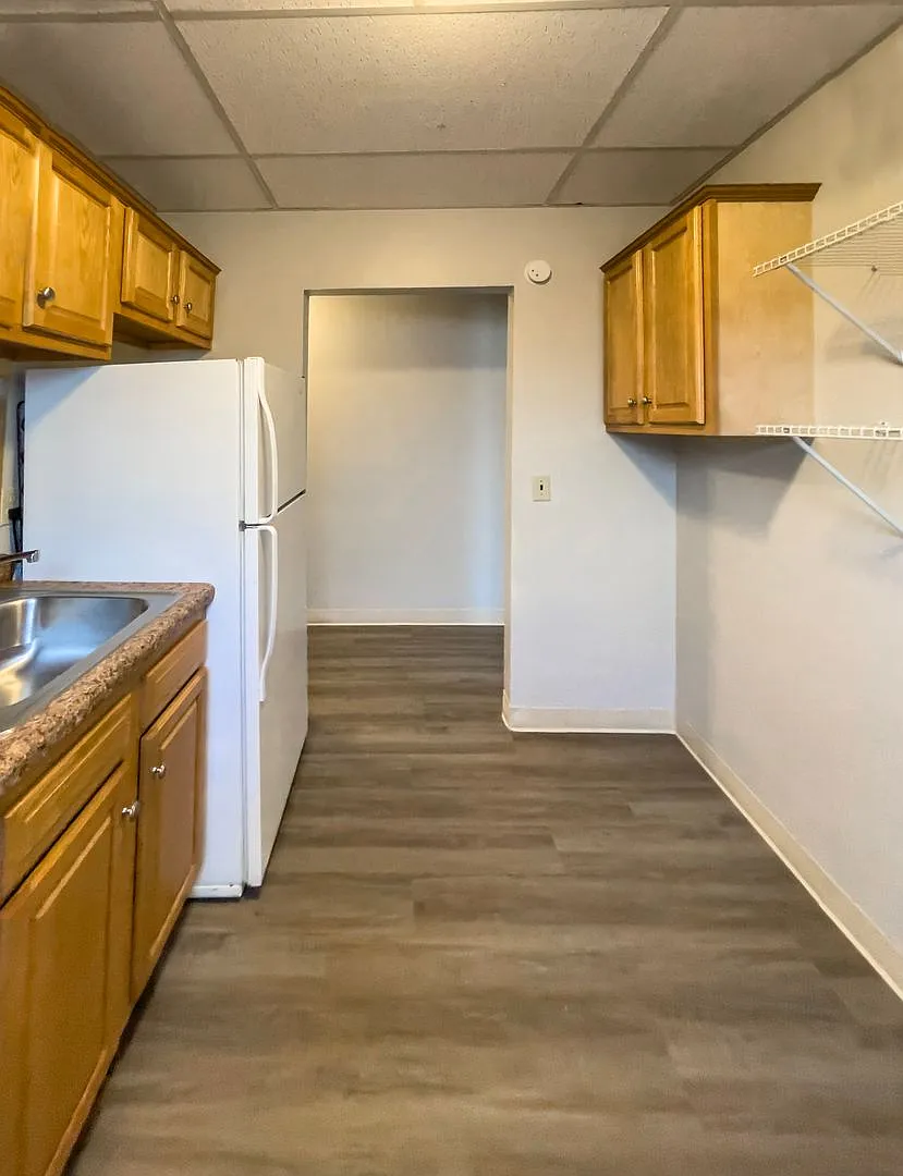 1 Bedroom, 1 Bathroom Close to Ball State's Campus! New Flooring! — Photo 3